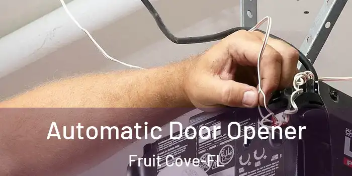 Automatic Door Opener Fruit Cove-FL