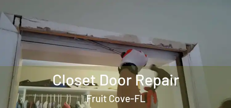  Closet Door Repair Fruit Cove-FL