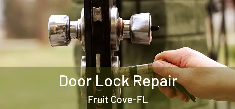 Door Lock Repair Fruit Cove-FL