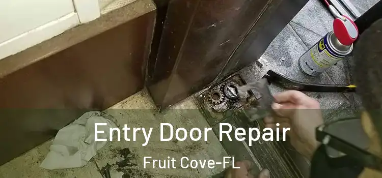  Entry Door Repair Fruit Cove-FL