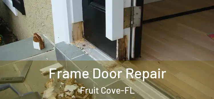  Frame Door Repair Fruit Cove-FL