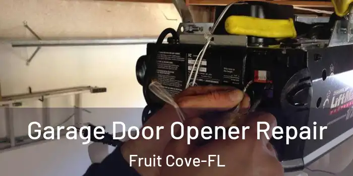  Garage Door Opener Repair Fruit Cove-FL