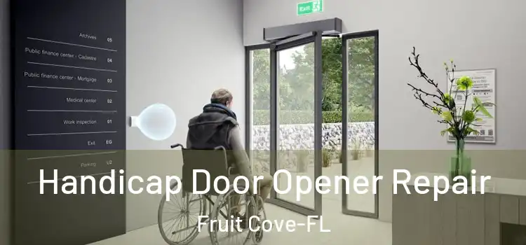  Handicap Door Opener Repair Fruit Cove-FL