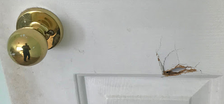 interior door hole repair Fruit Cove