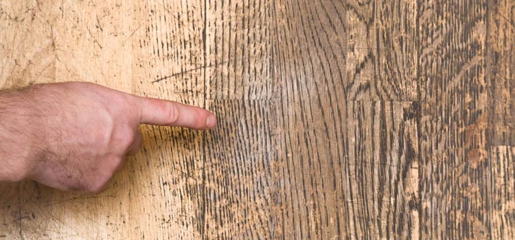 Wood Door Scratch Repair in Fruit Cove