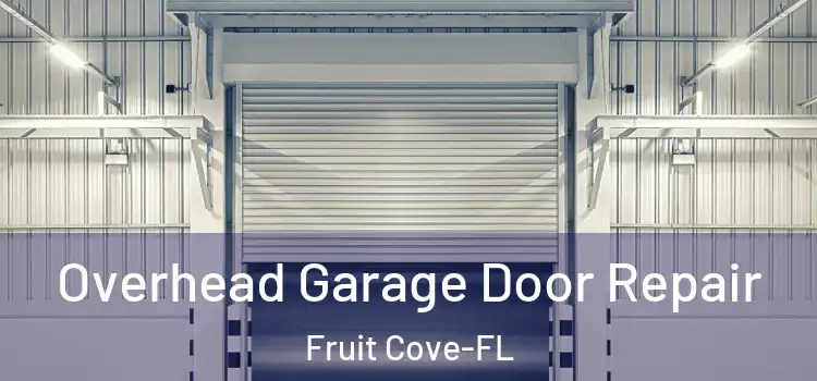  Overhead Garage Door Repair Fruit Cove-FL
