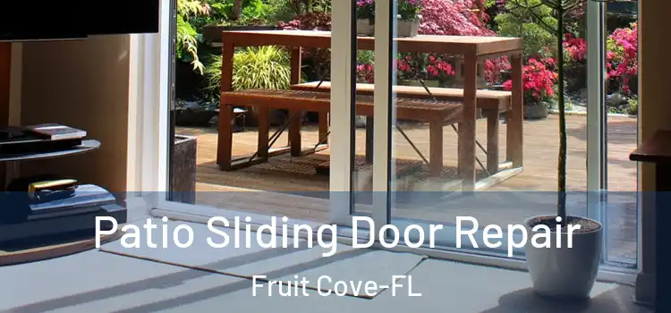  Patio Sliding Door Repair Fruit Cove-FL