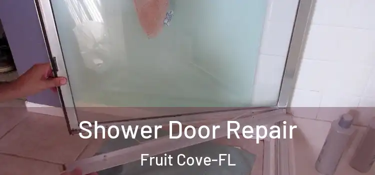  Shower Door Repair Fruit Cove-FL